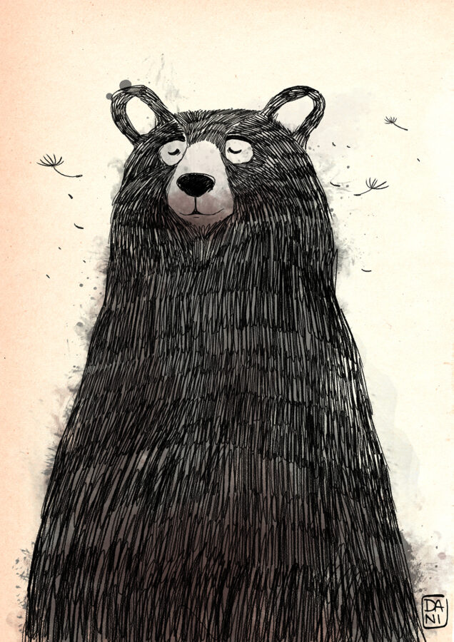 bear-illustration