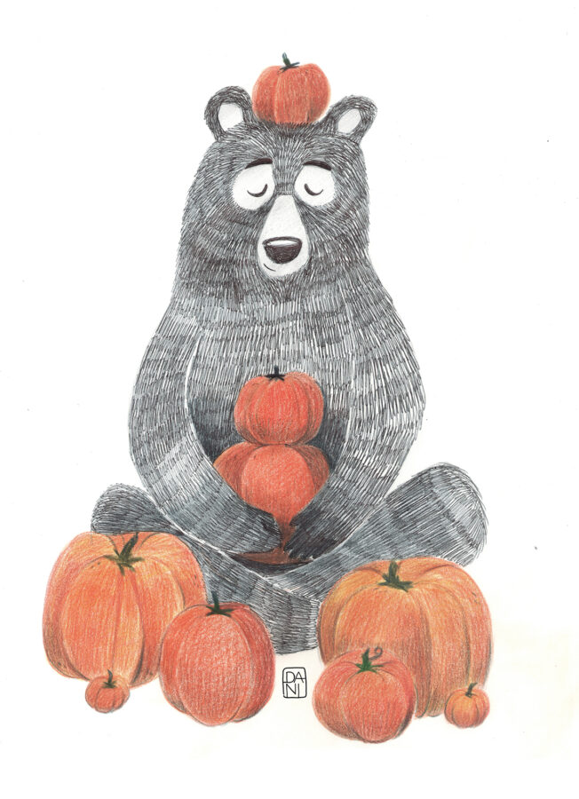 bear pumpkins illustration