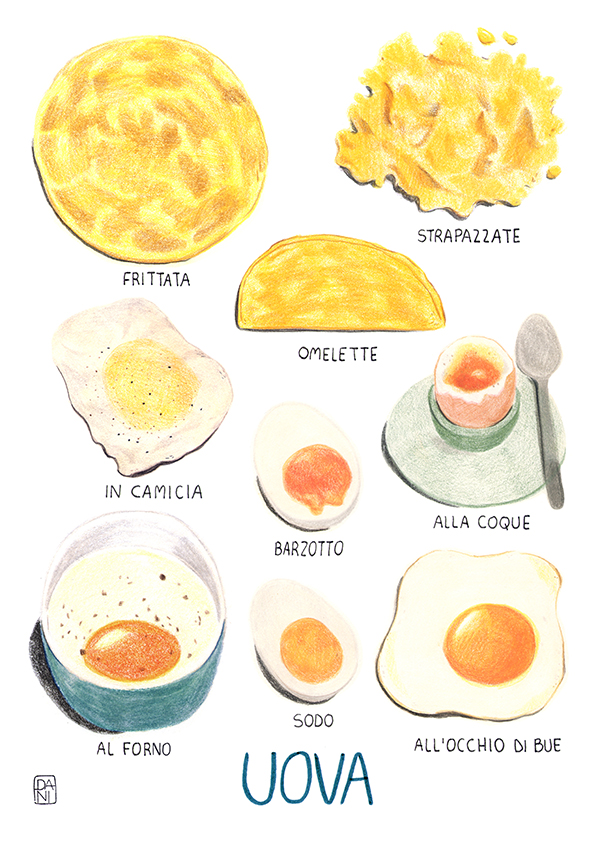 Eggs-Illustration